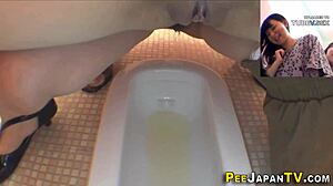 Japanese beaver gets wet and wild in public toilet
